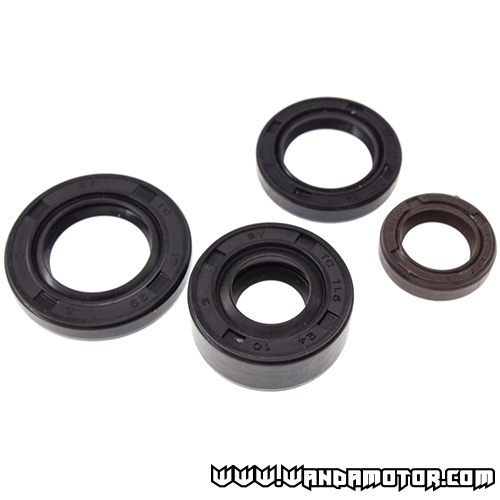 Oil seal kit YX 150